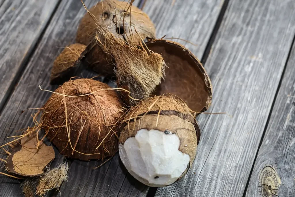 fresh-coconuts-broken-wooden-wall